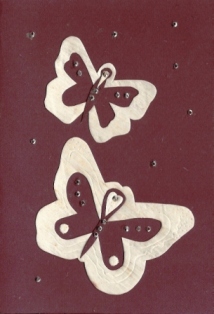 Twee vlinders