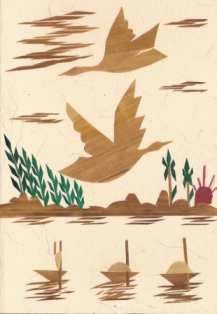 Twee vogels boven de rivier