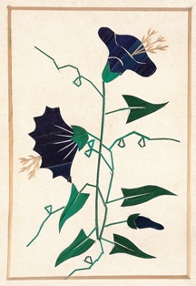 Blauwe bloemen