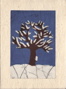 Appelboom in de winter