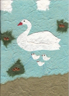 Zwaan met jongen