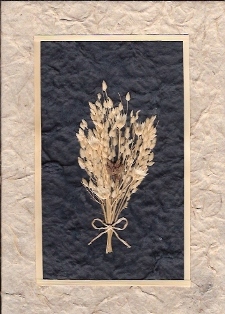 Gedroogd gras, blauw/wit