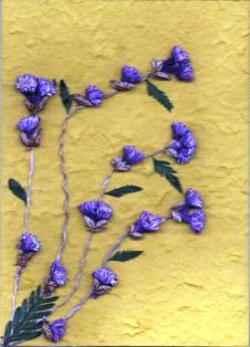 Droogbloemen, fel geel