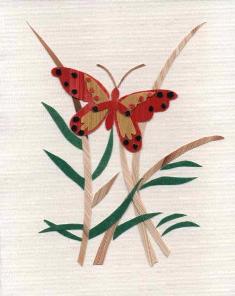 Vlinder