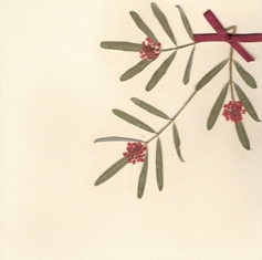 Droogbloemen in hoek, crème
