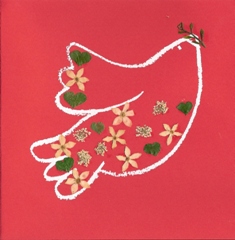 Vredesduif rood