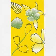 Bloemen