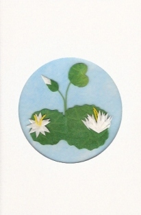 Lotusbloem