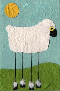 Fun animal cards; Schaap