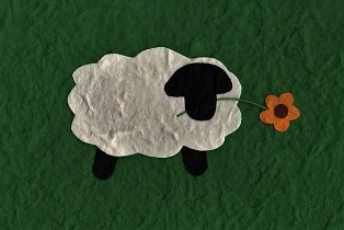 Schaap met boterbloem