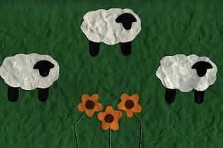 Drie schapen in de wei