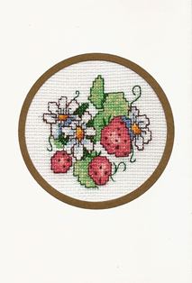 Aardbeien