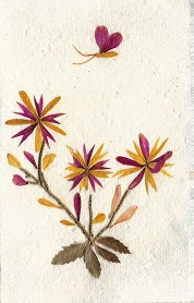 Bloemen, licht groen/blauw enveloppe