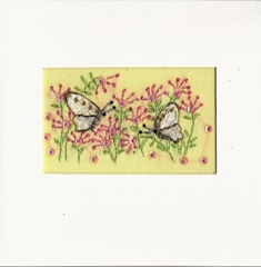 Twee vlinders tussen bloemen