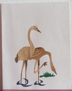 Twee flamingos